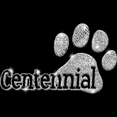 GLT17 SILVER GLITTER Thumbnail